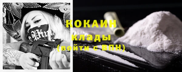 трава Няндома