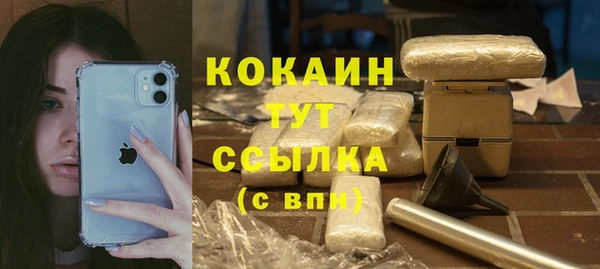 крисы Осинники