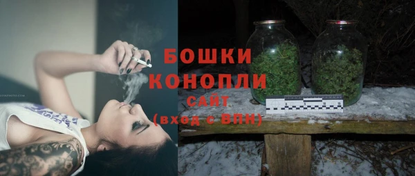крисы Осинники