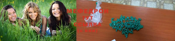 трава Няндома