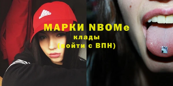 трава Няндома