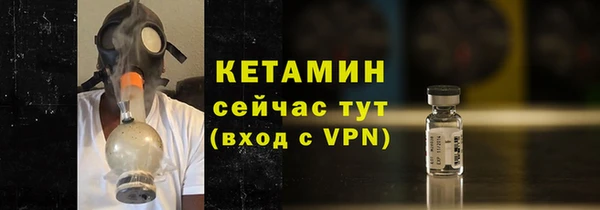 трава Няндома