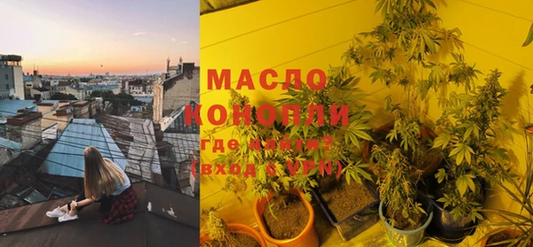 трава Няндома