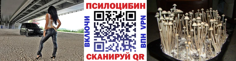 наркотики  Нягань  Псилоцибиновые грибы мухоморы 