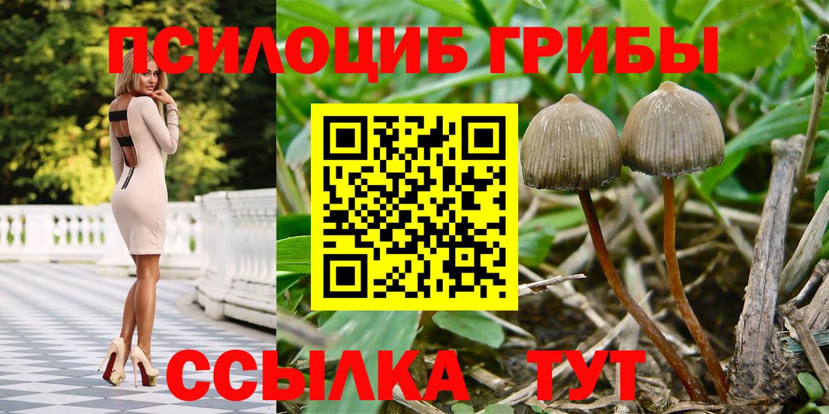 Галлюциногенные грибы мицелий  Вход с VPN  Нягань 