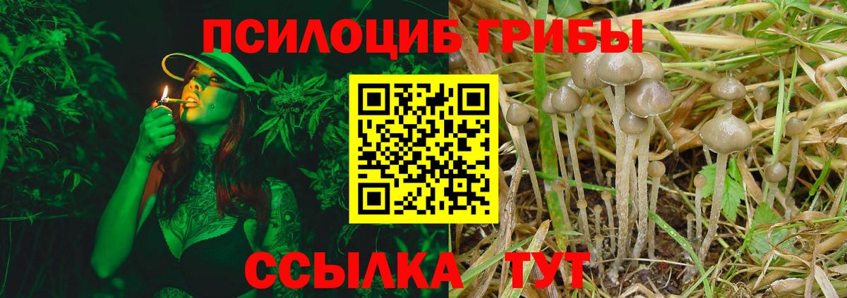 Галлюциногенные грибы мухоморы Нягань
